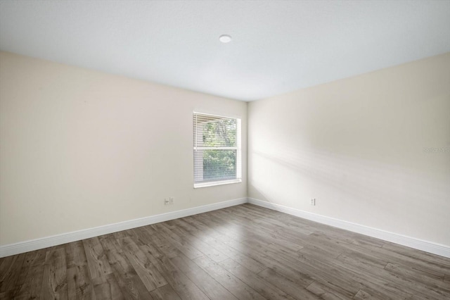 11132 Creek Haven Dr, Riverview, FL 33569 - spare room with wood finished floors and baseboards