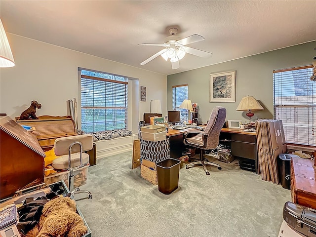 5323 73rd St N, Saint Petersburg, FL 33709 - photo 40
