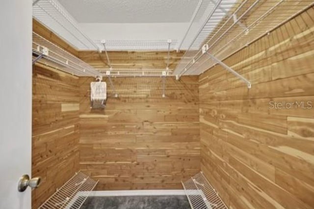 17569 SE 107th Ct, Summerfield, FL 34491 - view of spacious closet