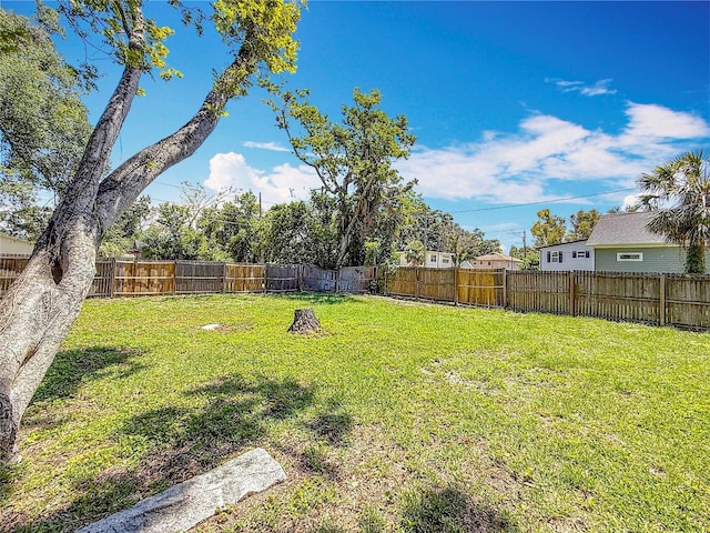 1011 Newton Ave S, Saint Petersburg, FL 33705 - photo 15
