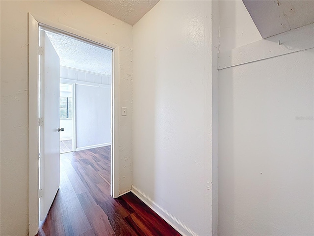 1011 Newton Ave S, Saint Petersburg, FL 33705 - photo 24