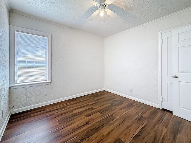1011 Newton Ave S, Saint Petersburg, FL 33705 - photo 35