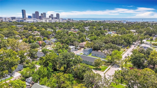 1011 Newton Ave S, Saint Petersburg, FL 33705 - photo 64