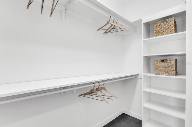 905 Bay Point Dr, Madeira Beach, FL 33708 - view of walk in closet