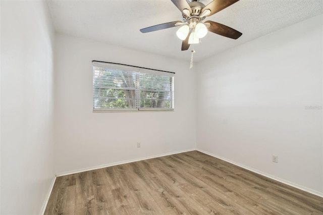 2310 Denmark St Unit 34, Clearwater, FL 33763 - empty room featuring light wood finished floors and ceiling fan
