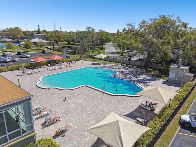2310 Denmark St Unit 34, Clearwater, FL 33763 - community pool with a patio area