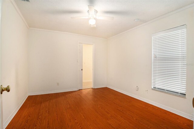 13310 Golf Crest Cir, Tampa, FL 33618 - photo 24