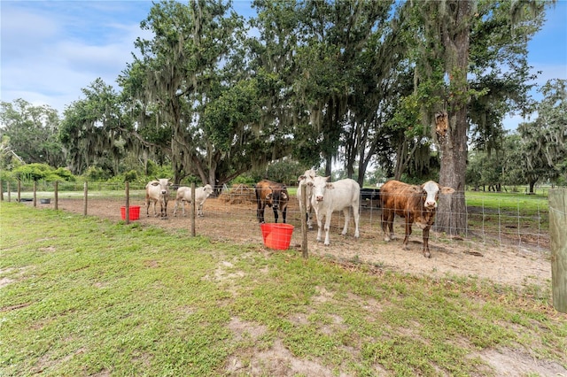 9819 Allen Rd, Lithia, FL 33547 - view of yard featuring an exterior structure, a view of countryside, and an outbuilding