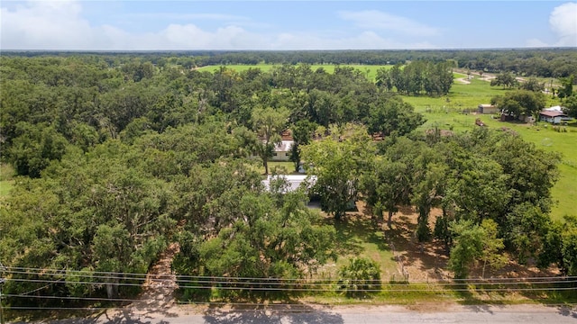 9819 Allen Rd, Lithia, FL 33547 - drone / aerial view of a heavily wooded area