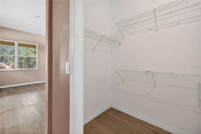 1835 Fircrest Ct, Wesley Chapel, FL 33543 - spacious closet featuring wood finished floors