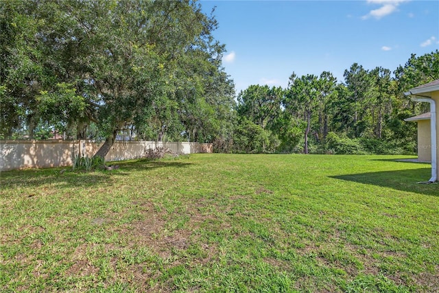 1835 Fircrest Ct, Wesley Chapel, FL 33543 - view of yard