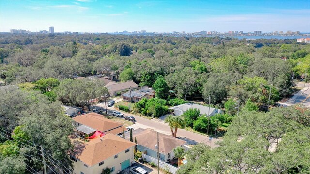 1887 Springtime Ave, Clearwater, FL 33755 - photo 27