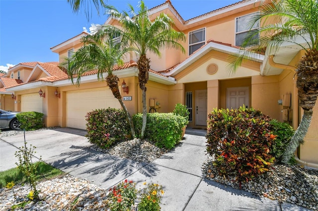 1421 Ridge Ter, Tarpon Springs, FL 34689 - photo 4