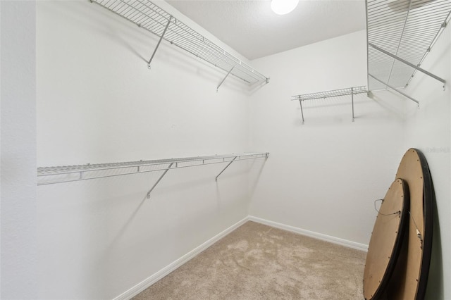 1421 Ridge Ter, Tarpon Springs, FL 34689 - photo 22