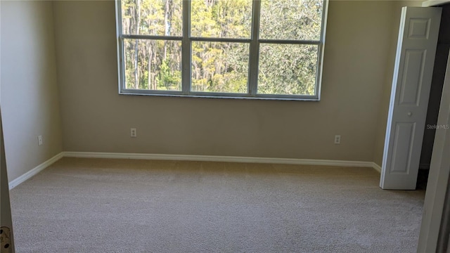 19251 Stone Hedge Dr, Tampa, FL 33647 - photo 17