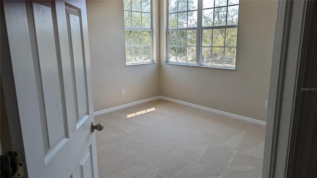 19251 Stone Hedge Dr, Tampa, FL 33647 - photo 22
