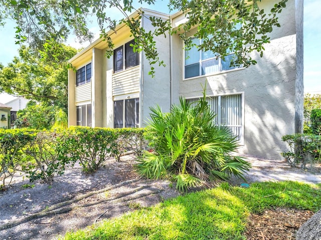 401 Windrush Bay Dr, Tarpon Springs, FL 34689 - rear view of house with stucco siding