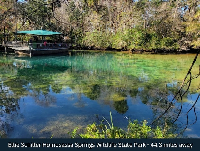Se US Highway 301, Summerfield, FL 34491