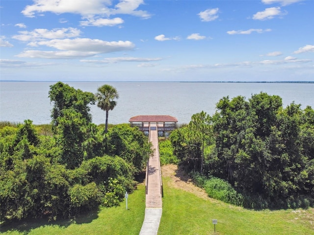 297 Beacon Pointe Dr, Ocoee, FL 34761 - bird's eye view of a nearby body of water