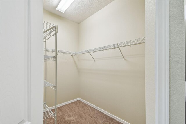 297 Beacon Pointe Dr, Ocoee, FL 34761 - walk in closet with carpet