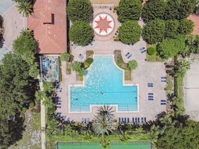 297 Beacon Pointe Dr, Ocoee, FL 34761 - aerial view of a pool