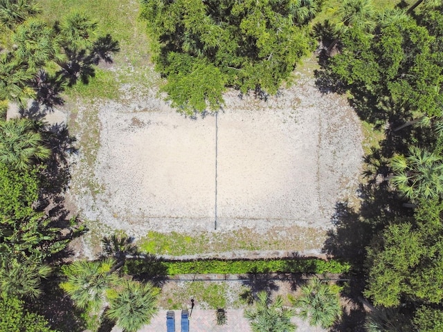 297 Beacon Pointe Dr, Ocoee, FL 34761 - drone / aerial view