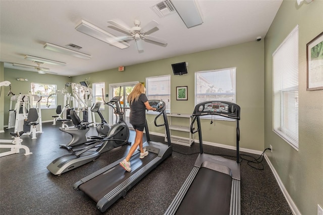5030 Herring Ct, New Port Richey, FL 34652 - exercise room with ceiling fan and baseboards