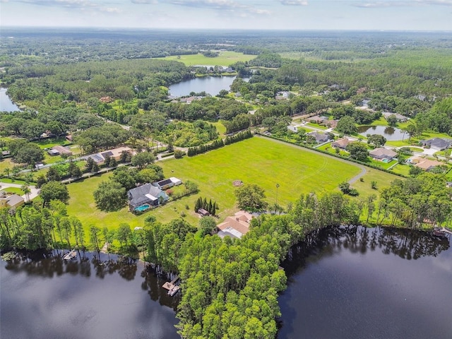 820 Newberger Rd, Lutz, FL 33549 - photo 1