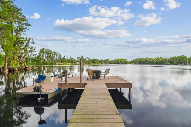 820 Newberger Rd, Lutz, FL 33549 - photo 4