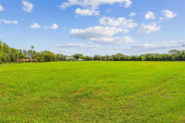 820 Newberger Rd, Lutz, FL 33549 - photo 26