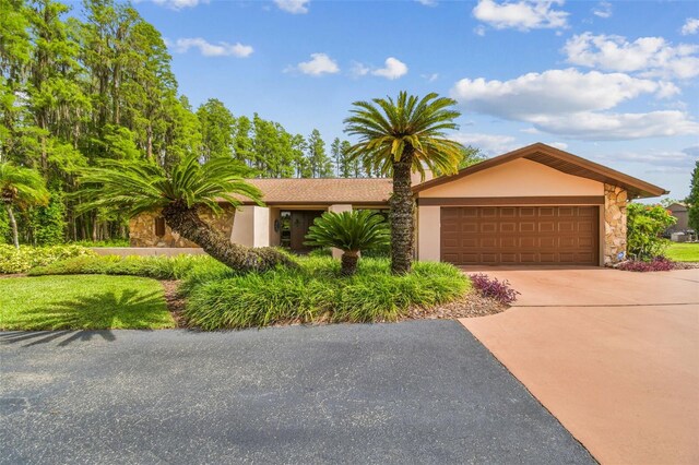 820 Newberger Rd, Lutz, FL 33549 - photo 2