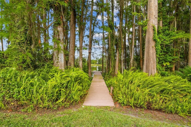 820 Newberger Rd, Lutz, FL 33549 - photo 17