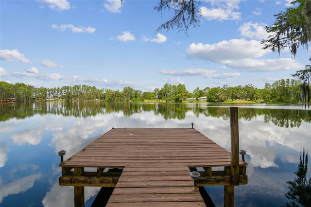 820 Newberger Rd, Lutz, FL 33549 - photo 19