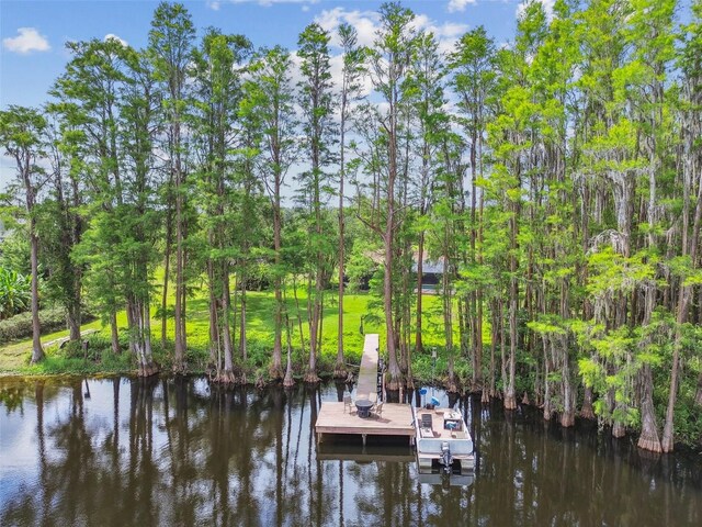 820 Newberger Rd, Lutz, FL 33549 - photo 21
