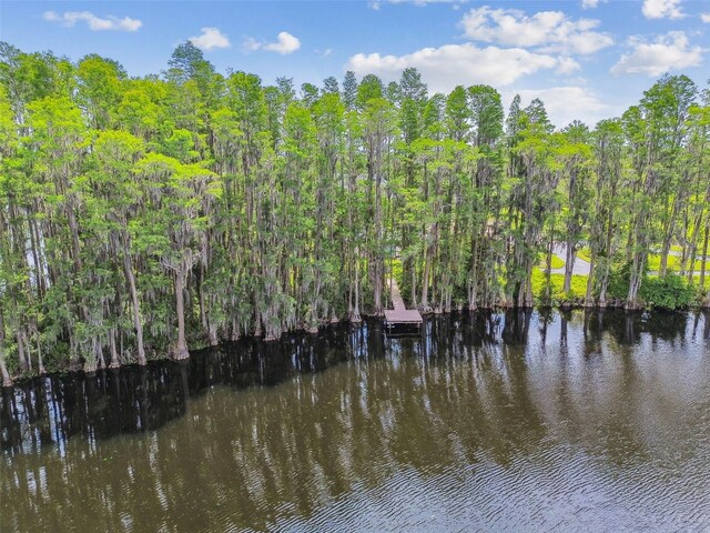 820 Newberger Rd, Lutz, FL 33549 - photo 22