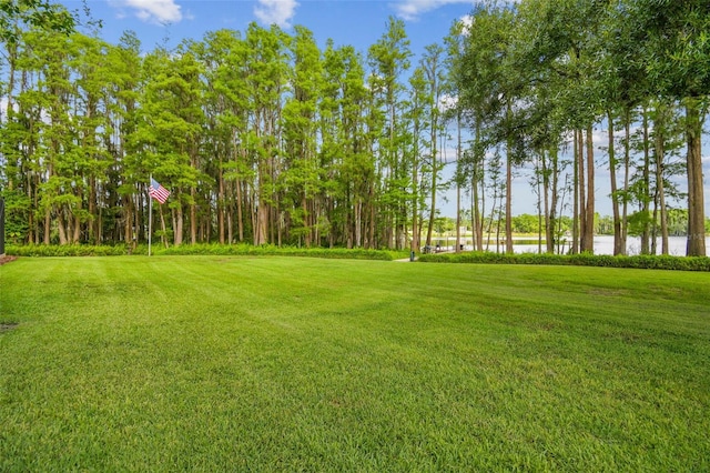 820 Newberger Rd, Lutz, FL 33549 - photo 25