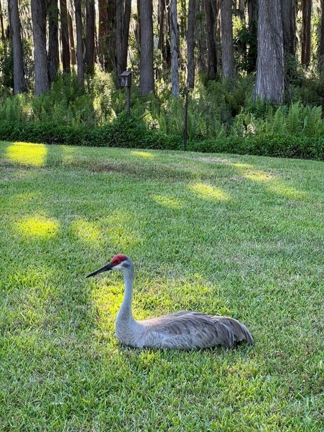 820 Newberger Rd, Lutz, FL 33549 - photo 27