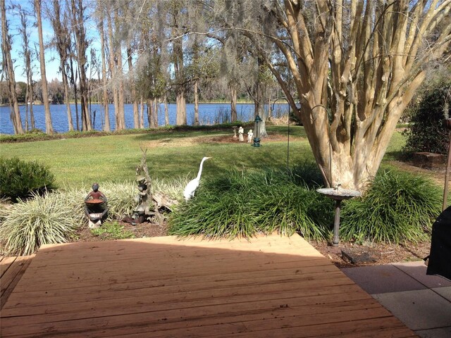 820 Newberger Rd, Lutz, FL 33549 - photo 30