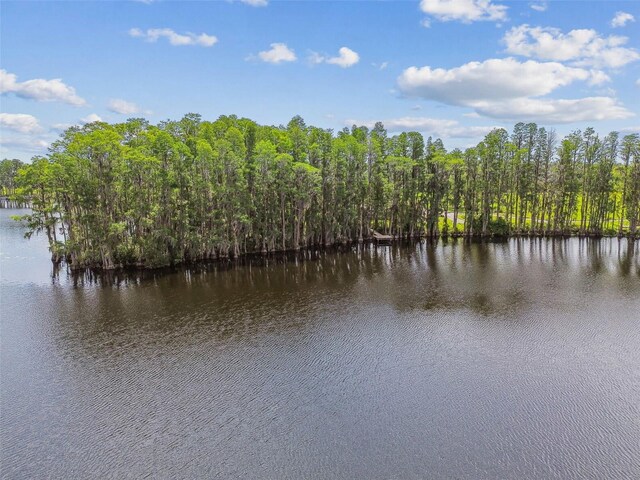 820 Newberger Rd, Lutz, FL 33549 - photo 23