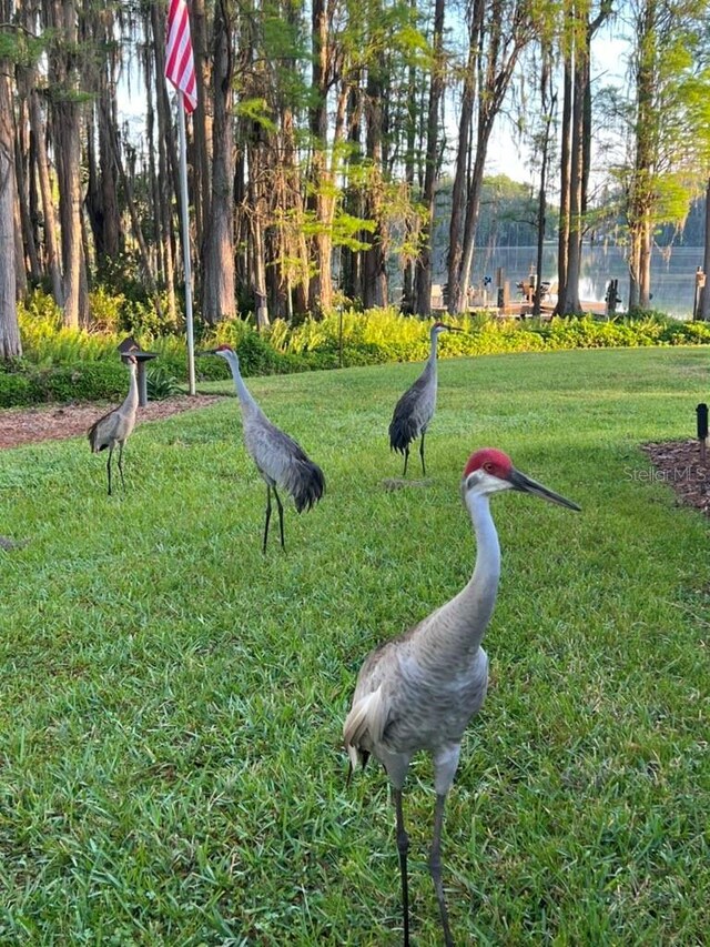 820 Newberger Rd, Lutz, FL 33549 - photo 28