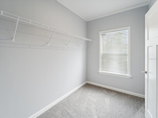 246 Gretna St, Port Charlotte, FL 33954 - photo 19