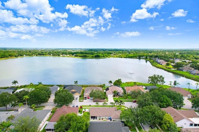 7101 Bucks Ford Dr, Riverview, FL 33578 - aerial view of residential area featuring a nearby body of water