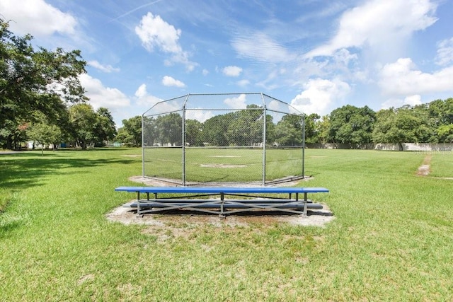 7101 Bucks Ford Dr, Riverview, FL 33578 - view of property's community featuring a yard