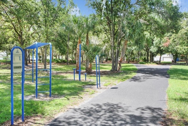 7101 Bucks Ford Dr, Riverview, FL 33578 - view of property's community featuring a lawn