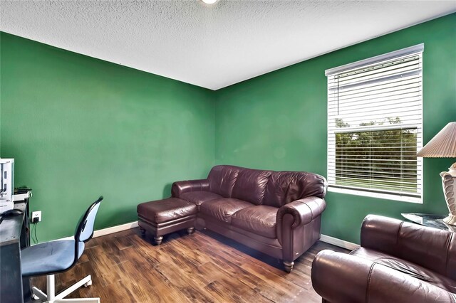 13648 Whiskey Daisy Dr, Dade City, FL 33525 - photo 27