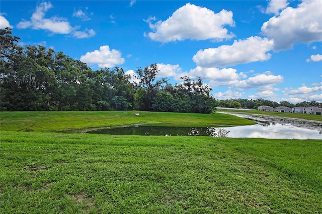 13648 Whiskey Daisy Dr, Dade City, FL 33525 - photo 40