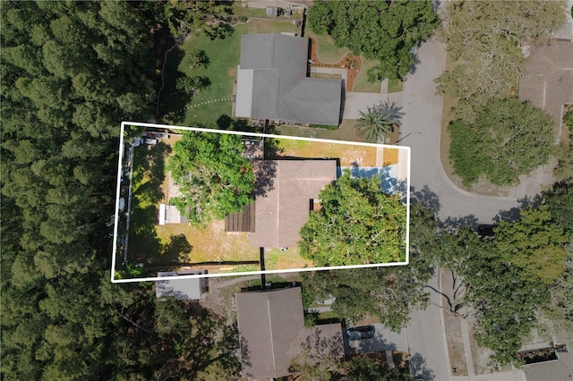 5346 Black Pine Dr, Tampa, FL 33624 - view of property location with property boundaries highlighted
