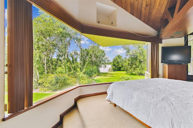 2103 N Golfview Dr, Plant City, FL 33566 - bedroom featuring carpet, vaulted ceiling, and multiple windows