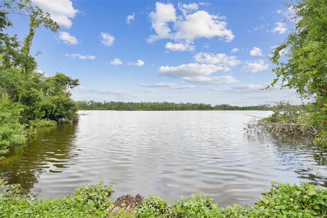 2103 N Golfview Dr, Plant City, FL 33566 - water view