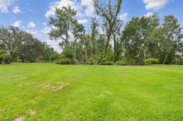 2103 N Golfview Dr, Plant City, FL 33566 - view of green lawn